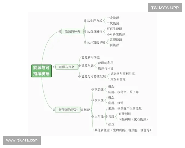 加强足球转会市场监管机制推动公平竞争与可持续发展政策研究